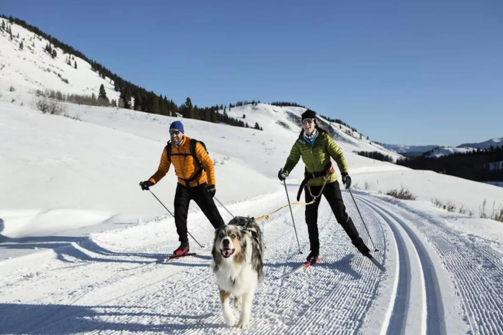 Chalet Genevrier-Niet-getagd