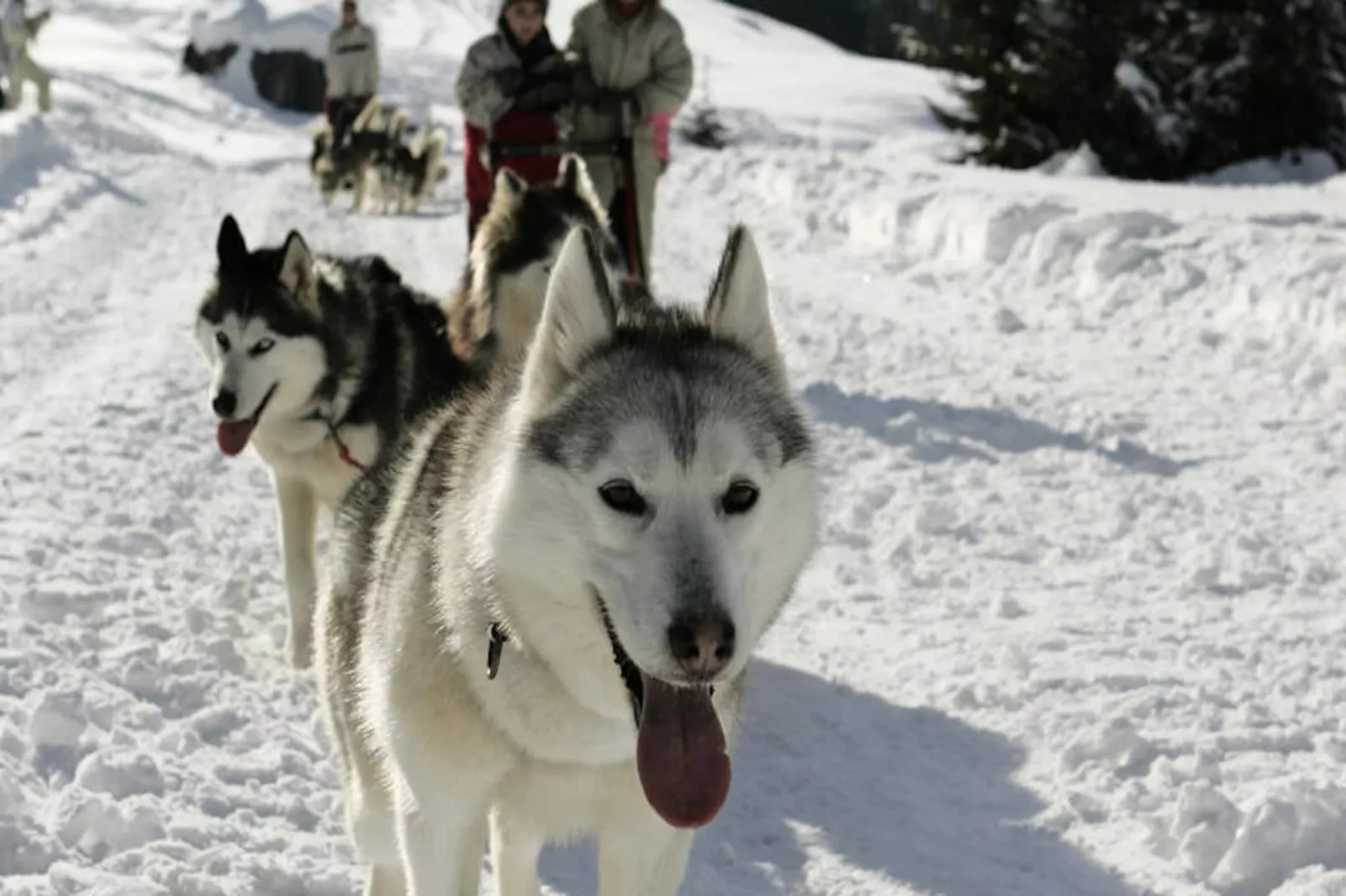 Studio à Les Carroz-d'Arâches-Niet-getagd