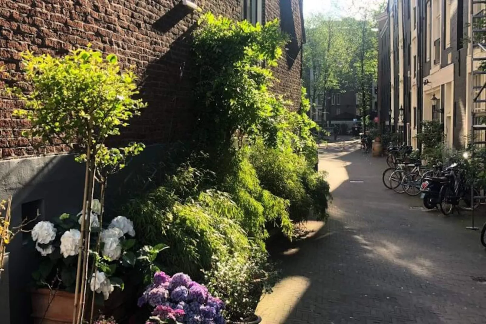 Studio Koggeschip Amsterdam Bb-Niet-getagd