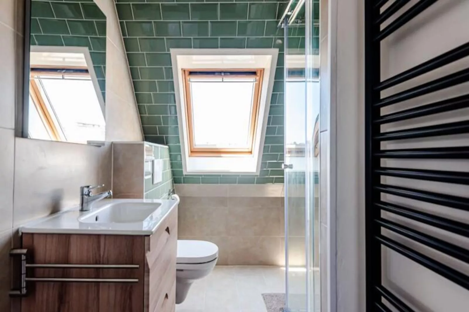 Albatros Aan Zee - Studio-Niet-getagd