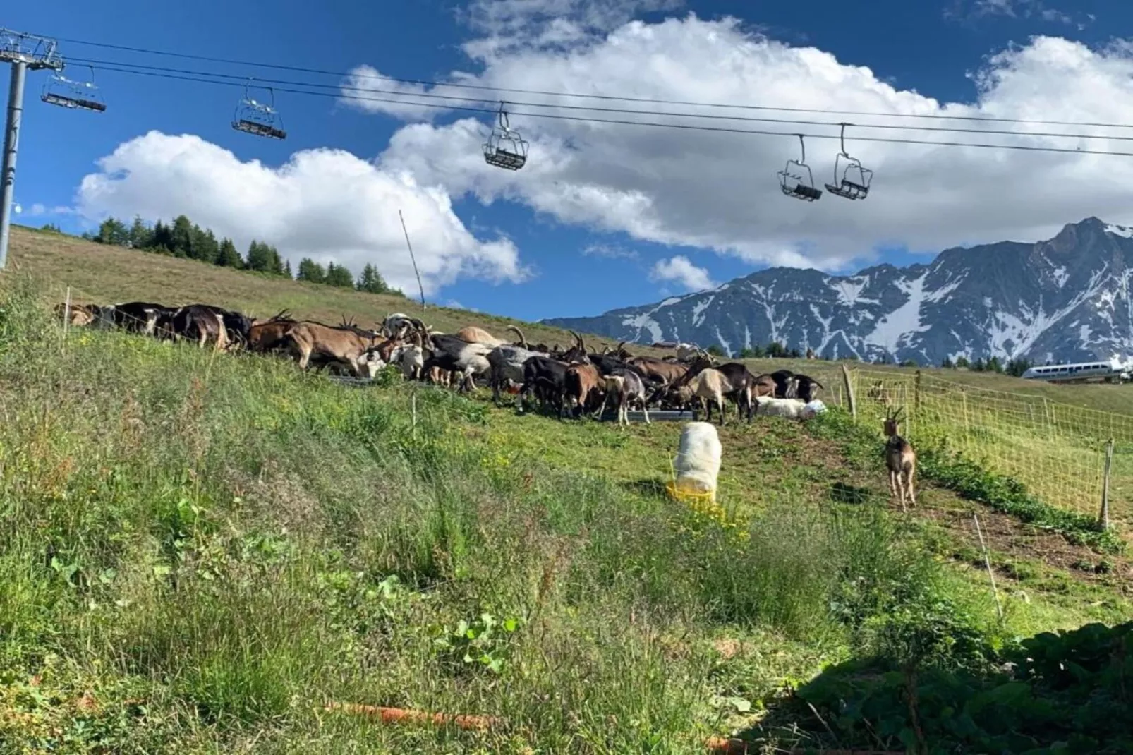 Chalets Les Amis 1-Gebieden zomer 20km