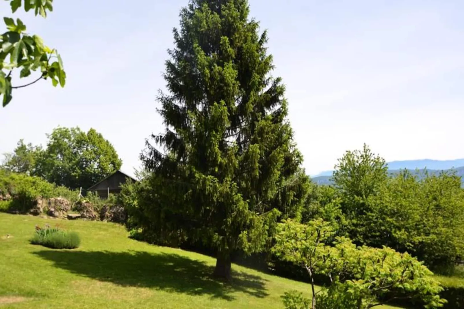 Le Petit Belv&eacute;d&egrave;re: Chalet Avec Piscine & Vue Lac-Niet-getagd