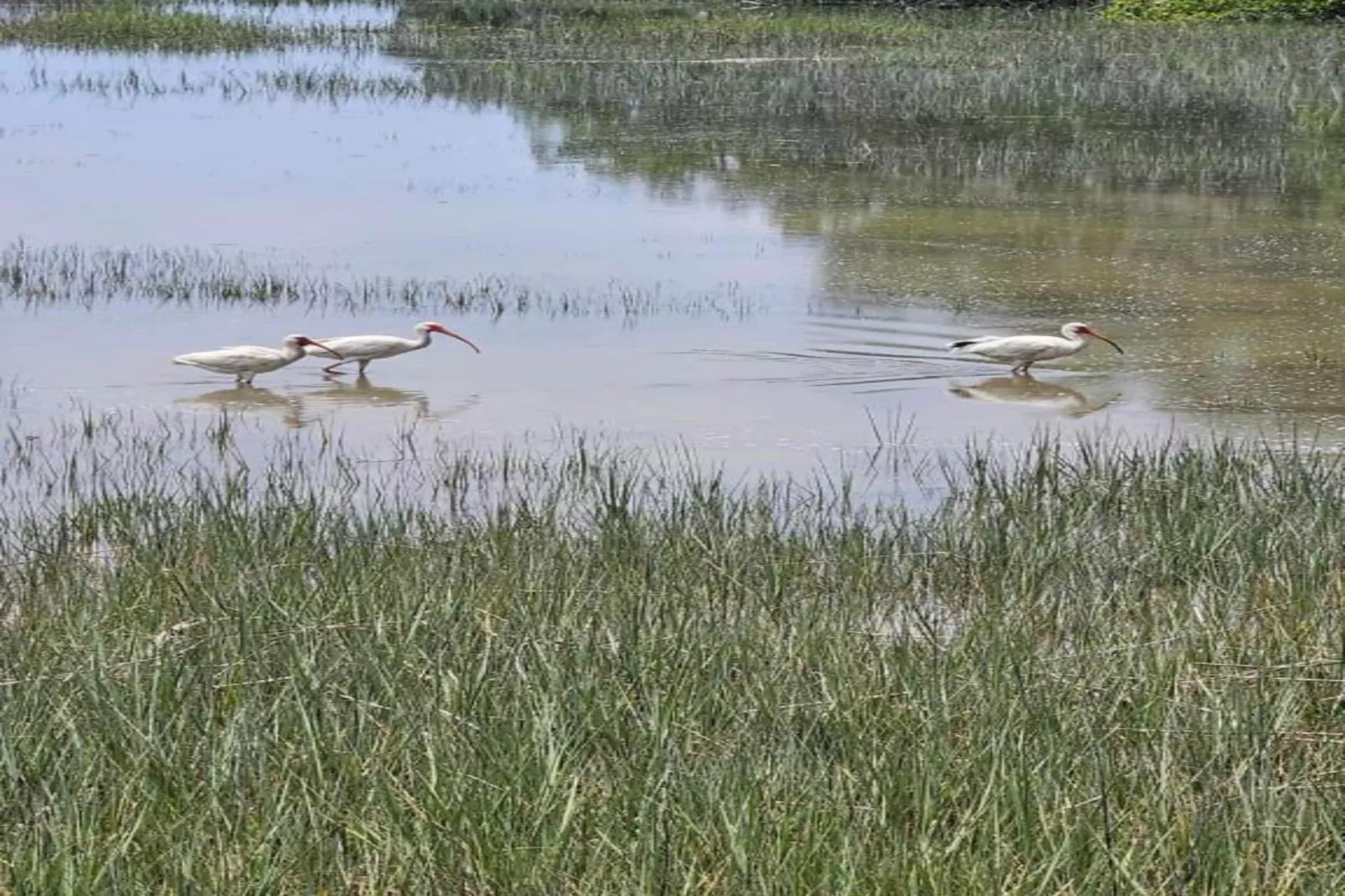 Résidence La Clé des Cimes 5-S10-Gebieden zomer 20km