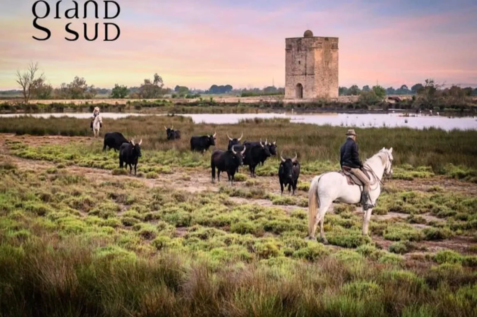Résidence Triangle De La Baronnie Appartement 1 Chambre Proche De La Mer-Niet-getagd