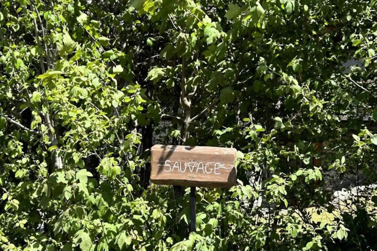 Les Residences Du Planelet-Niet-getagd