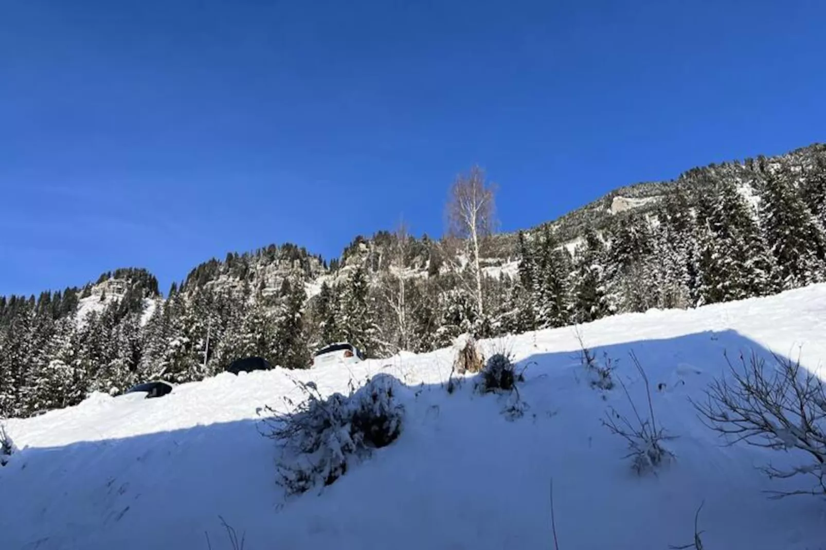 Résidence La Petite Ourse-Niet-getagd