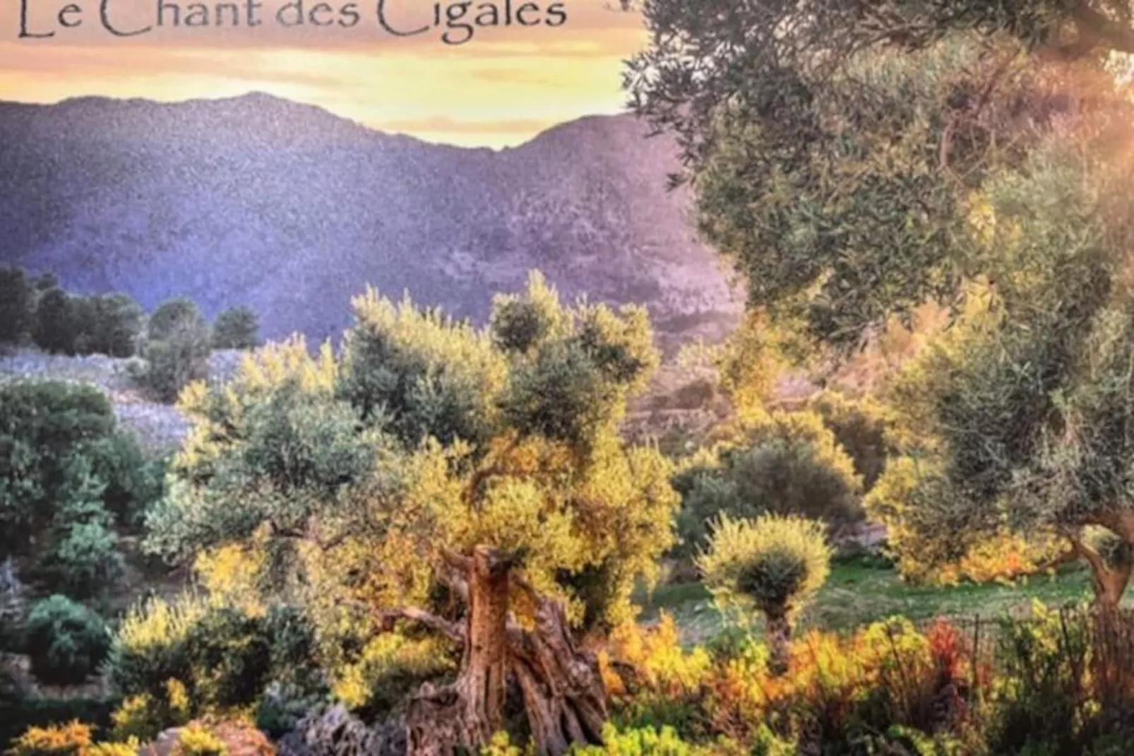 Le Chant Des Cigales-Niet-getagd