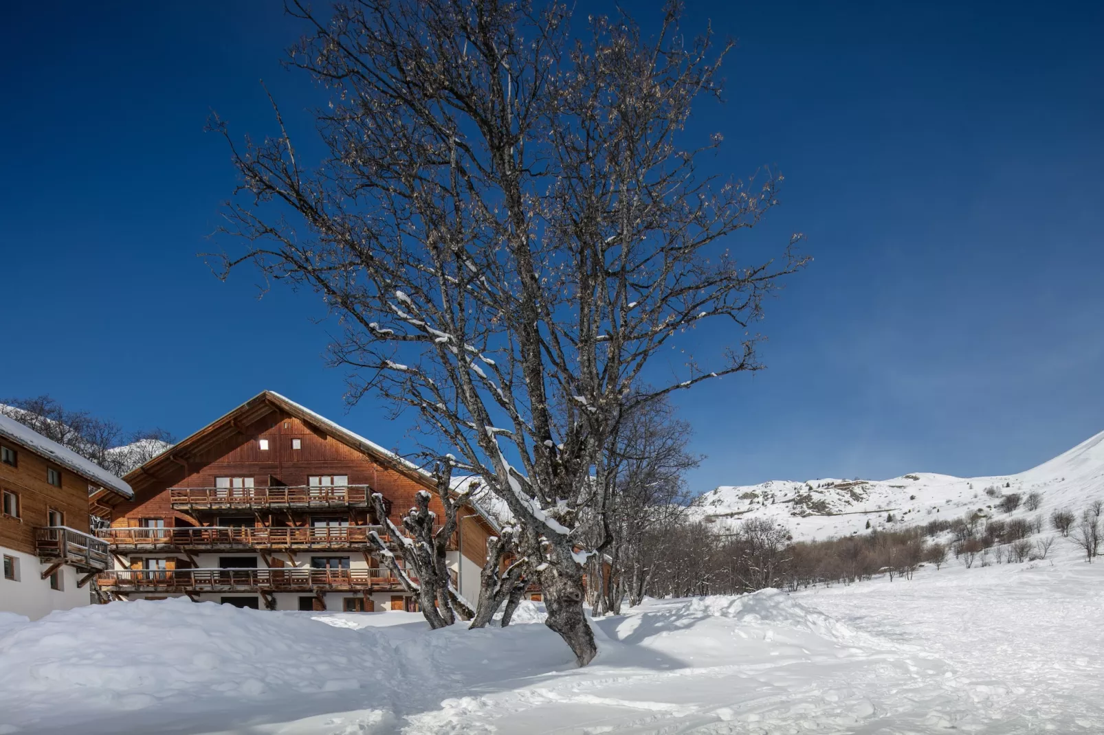 Les Grizzlis N°21 - 2P6 - Exterieur winter