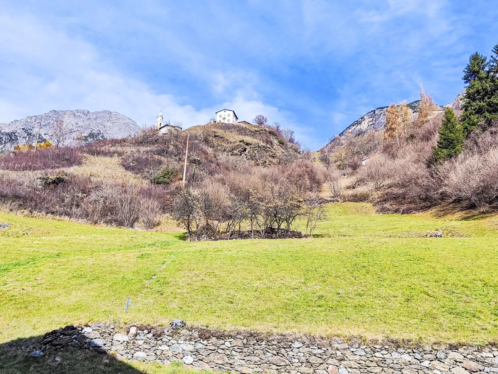 The Silent Sylva-Buiten