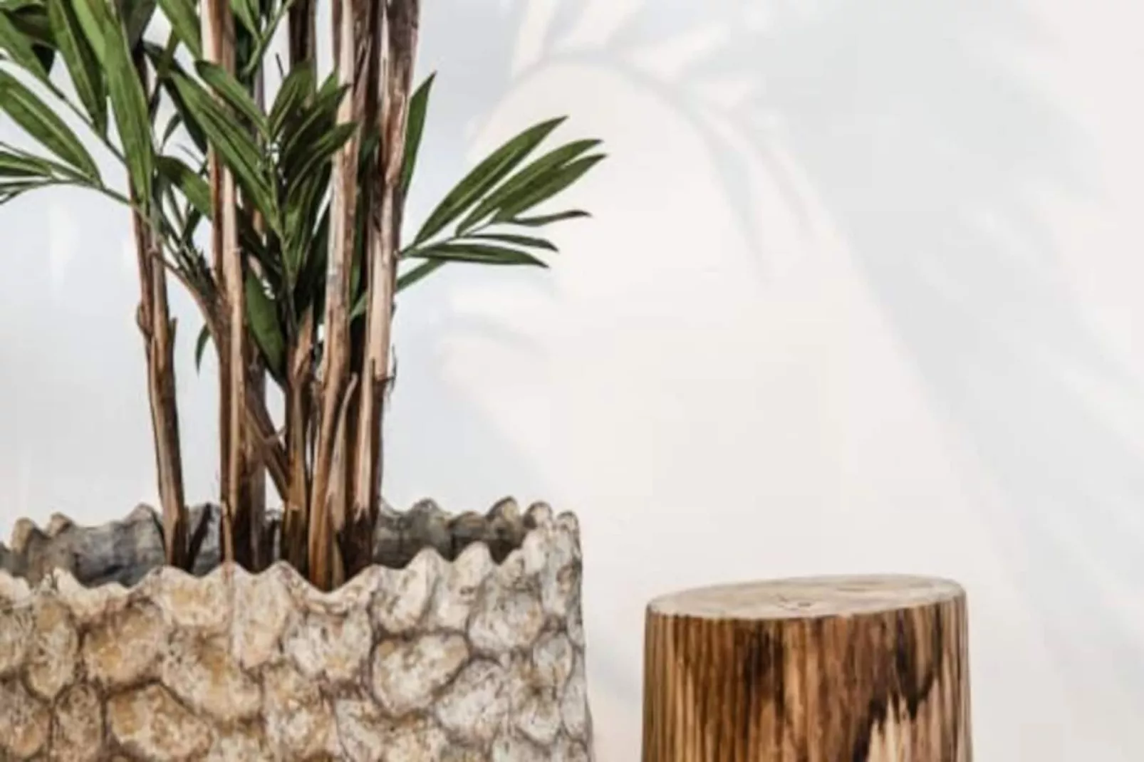 Yucca Beachhouse - Luxury Loft Apartment-Niet-getagd