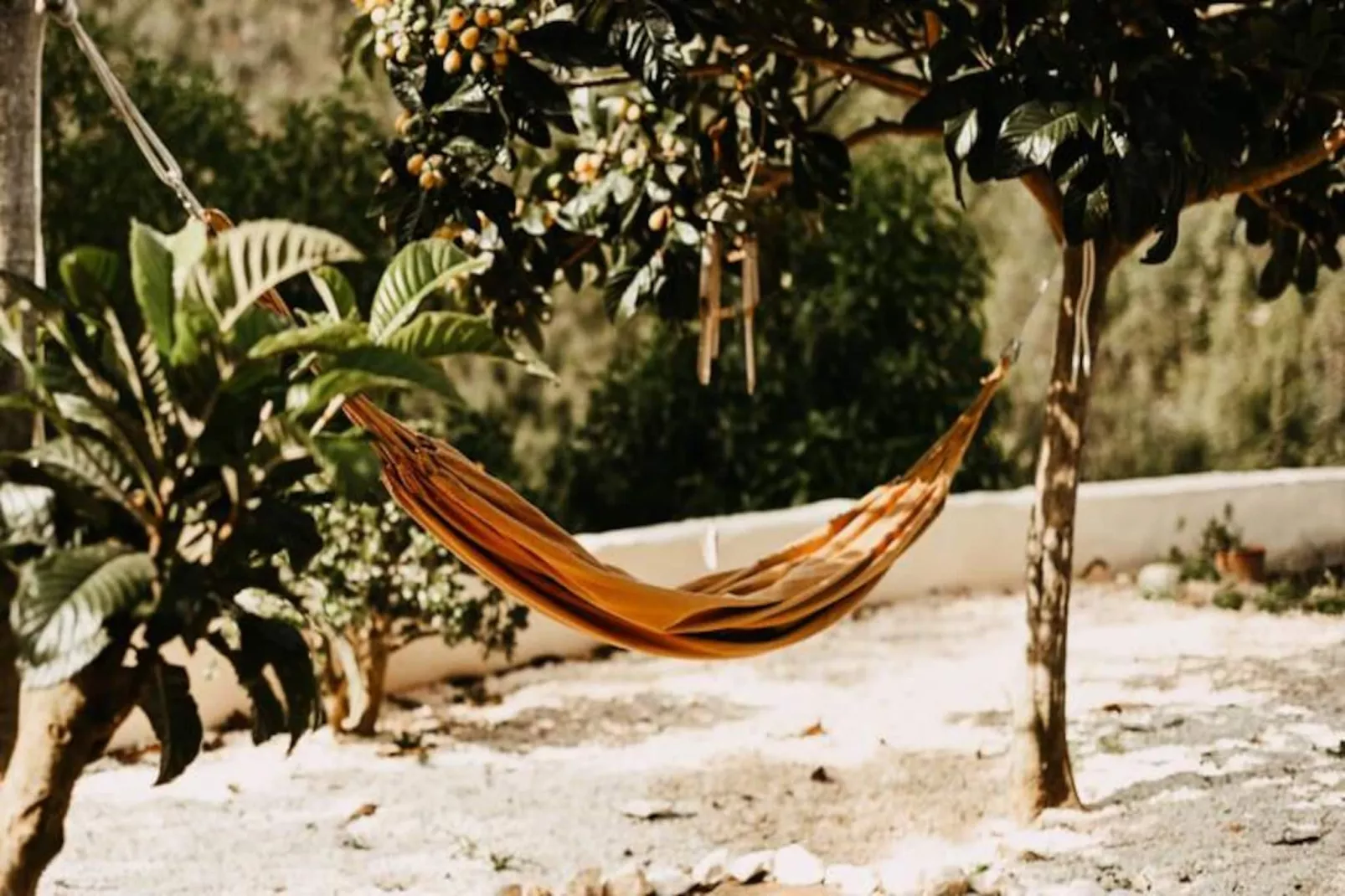 The Lemon Lodge - Tikka Suite-Niet-getagd