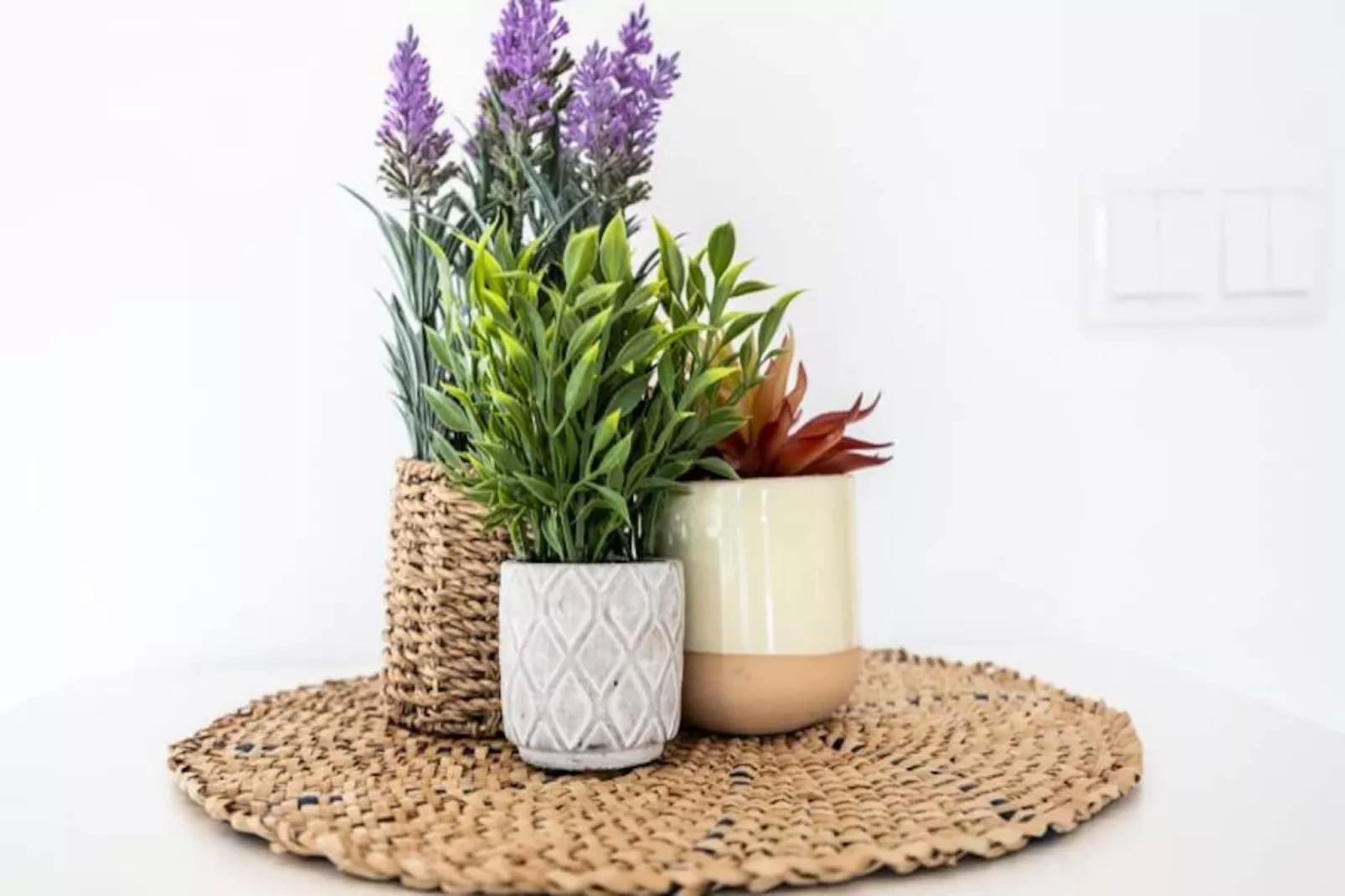 Portimão Beach House-Niet-getagd