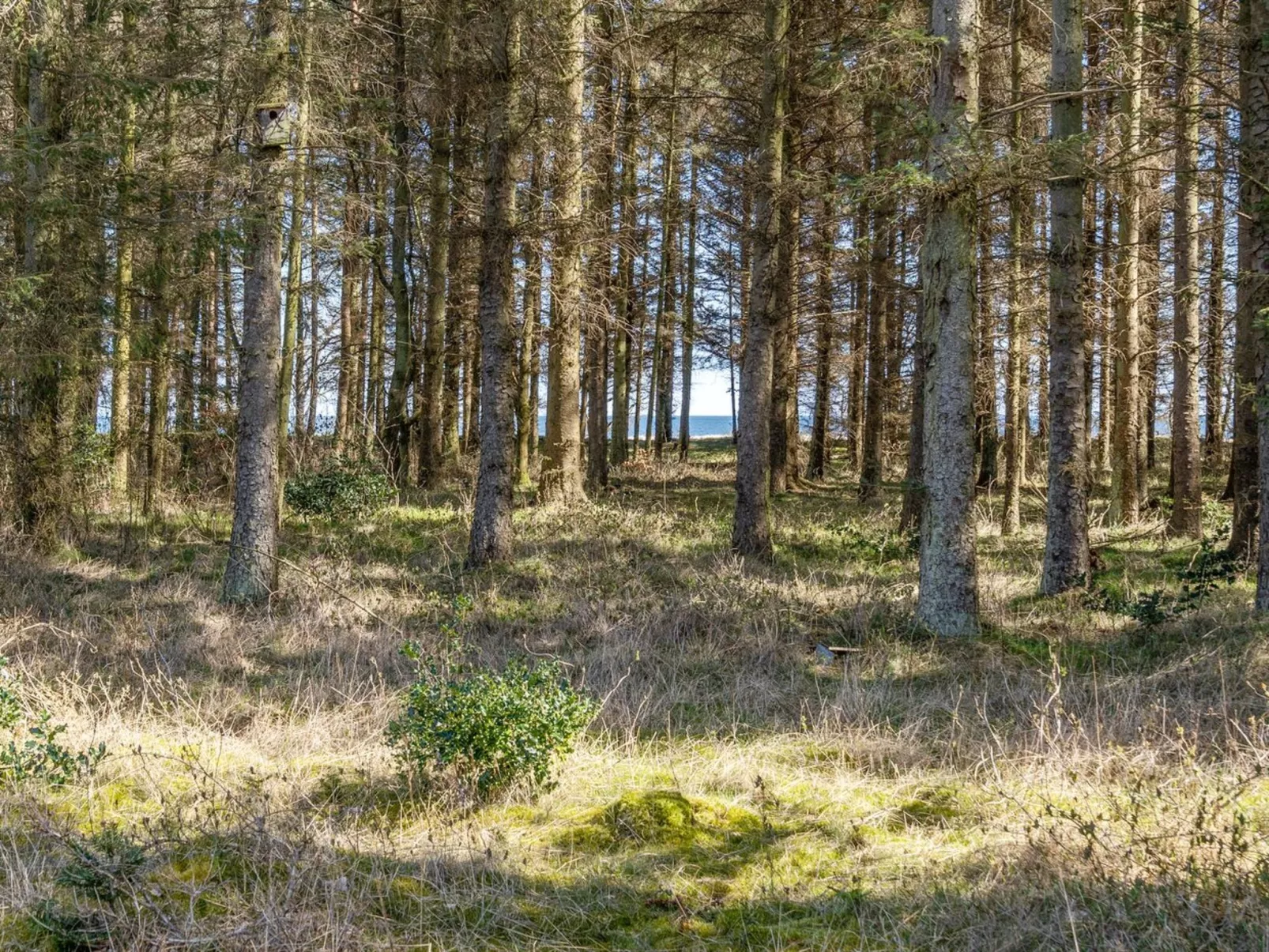 "Mea" -  from the sea-Buiten