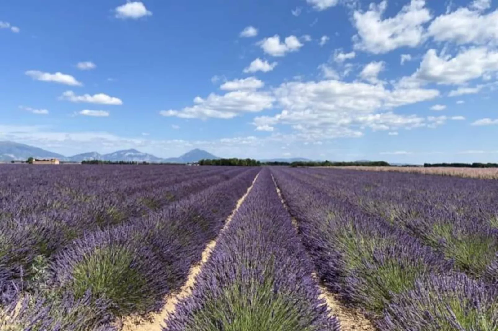 04b6 : Beau Studio Dans Un Mas Proven&ccedil;al - Piscine-Niet-getagd