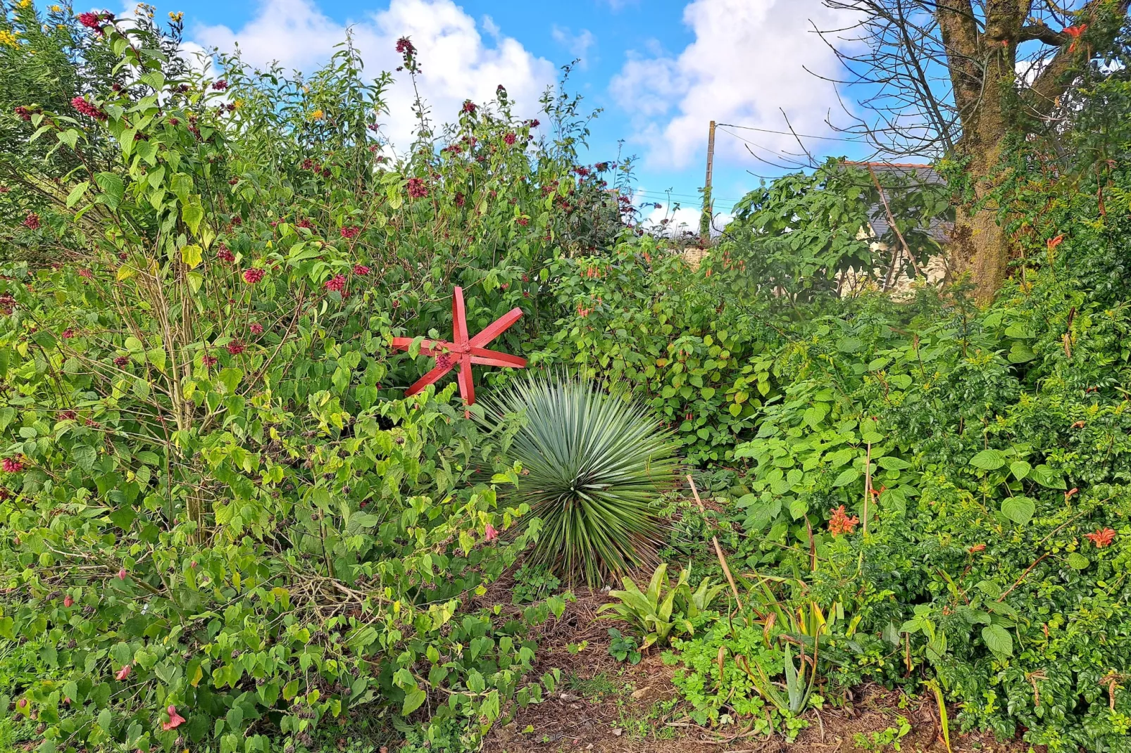Granitsteinhaus in Guimaëc-Tuin winter