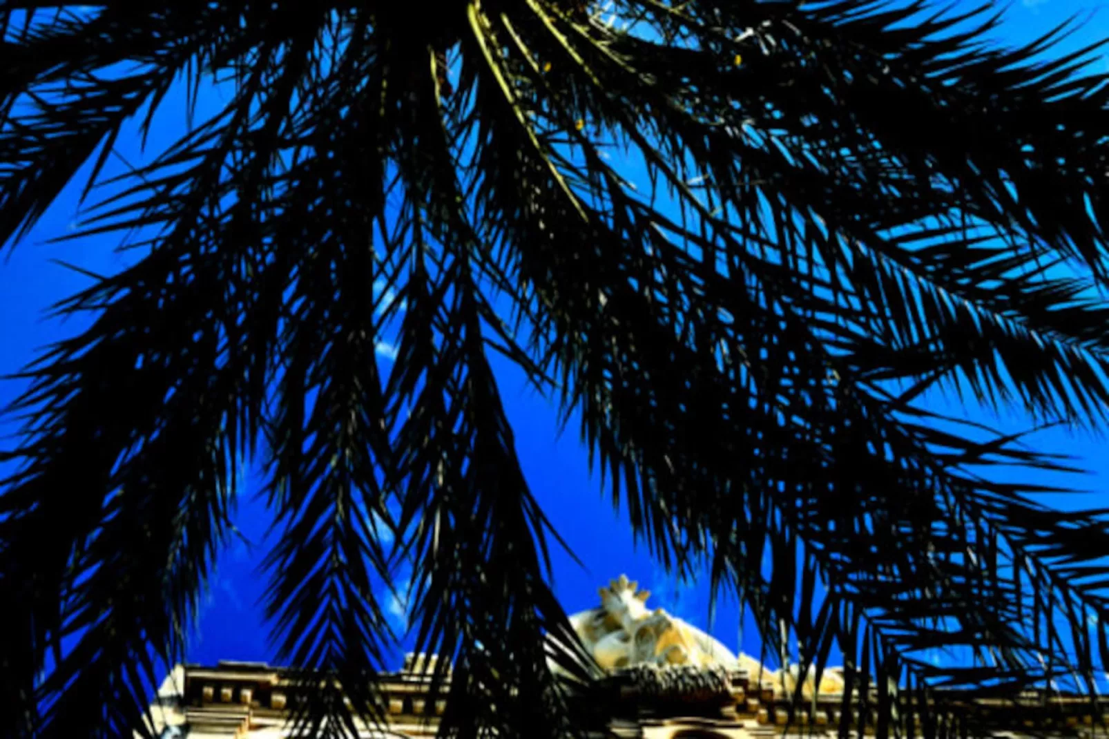 Résidence Le Neptune: Appartement T2 Tout Confort Au Calme Et &agrave; Deux Pas De La Plage-Niet-getagd