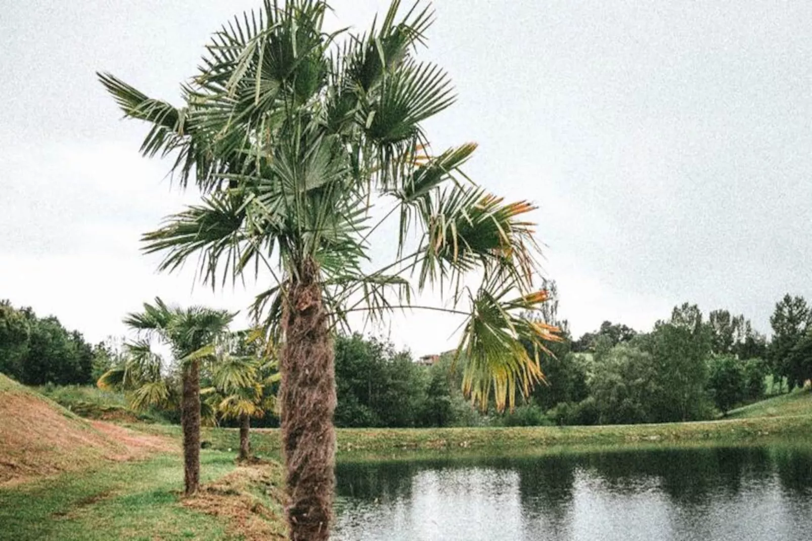Terres de France -  Hameaux des Lacs-Niet-getagd