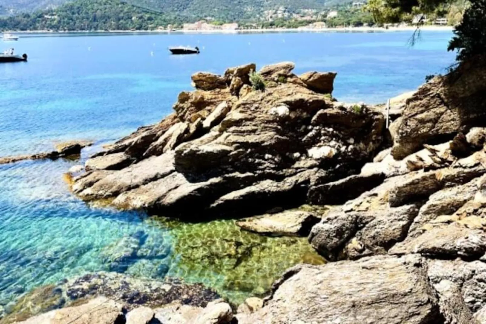 Résidence Appartement Avec Jardin - Cavali&egrave;re-Niet-getagd