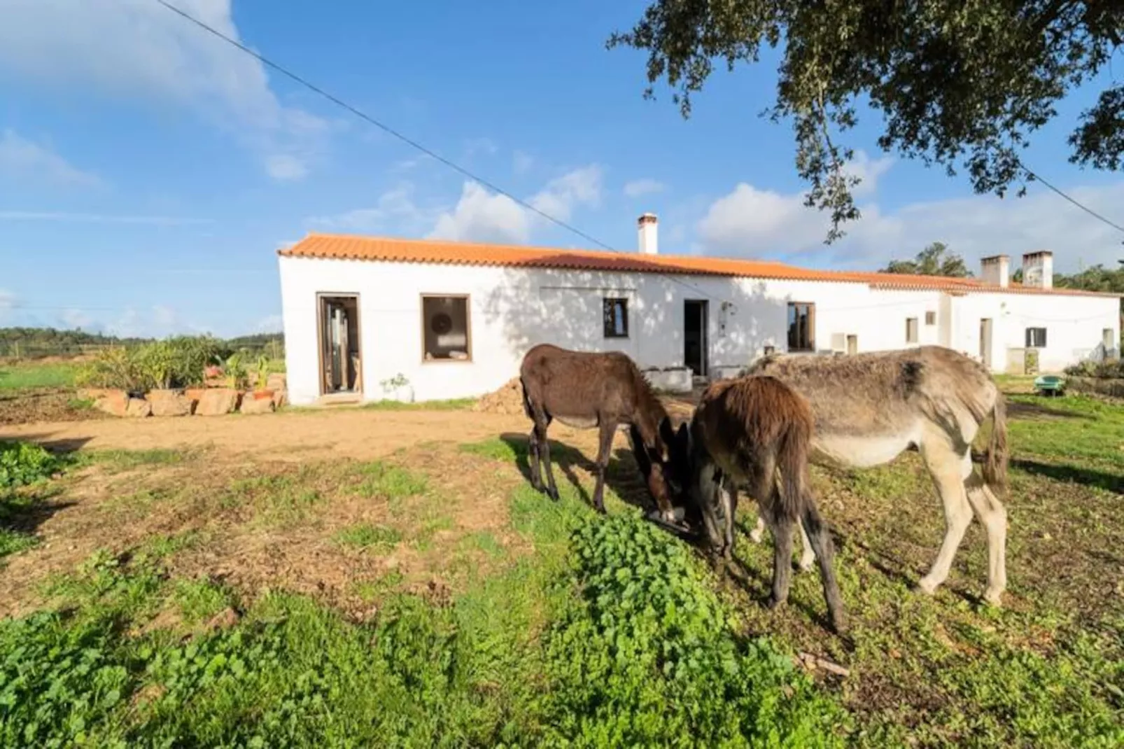 Casinha Da Paz-Niet-getagd