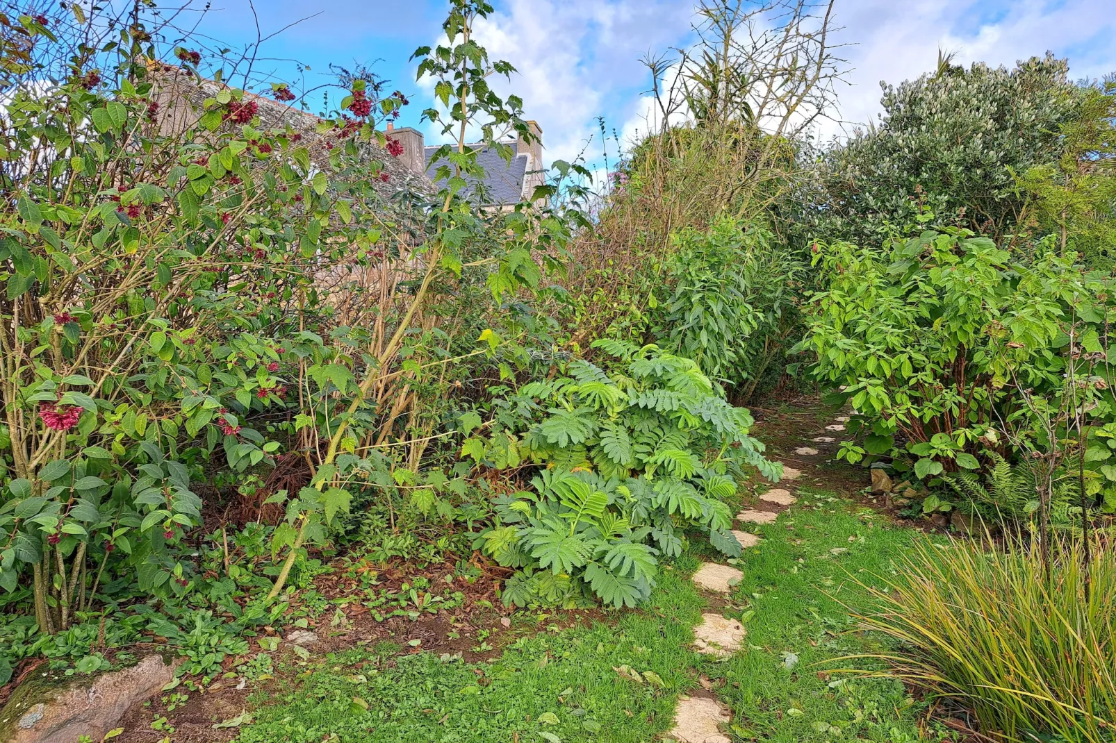 Granitsteinhaus in Guimaëc-Tuin winter