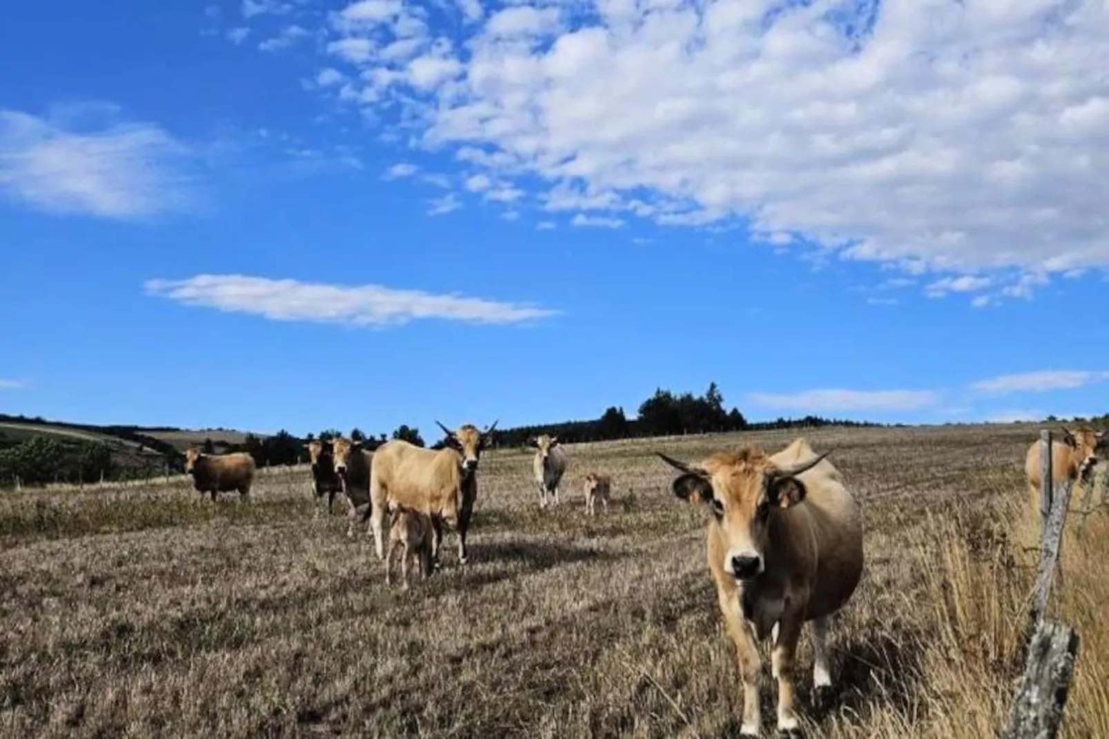 Gîte La cabane de romane-Niet-getagd