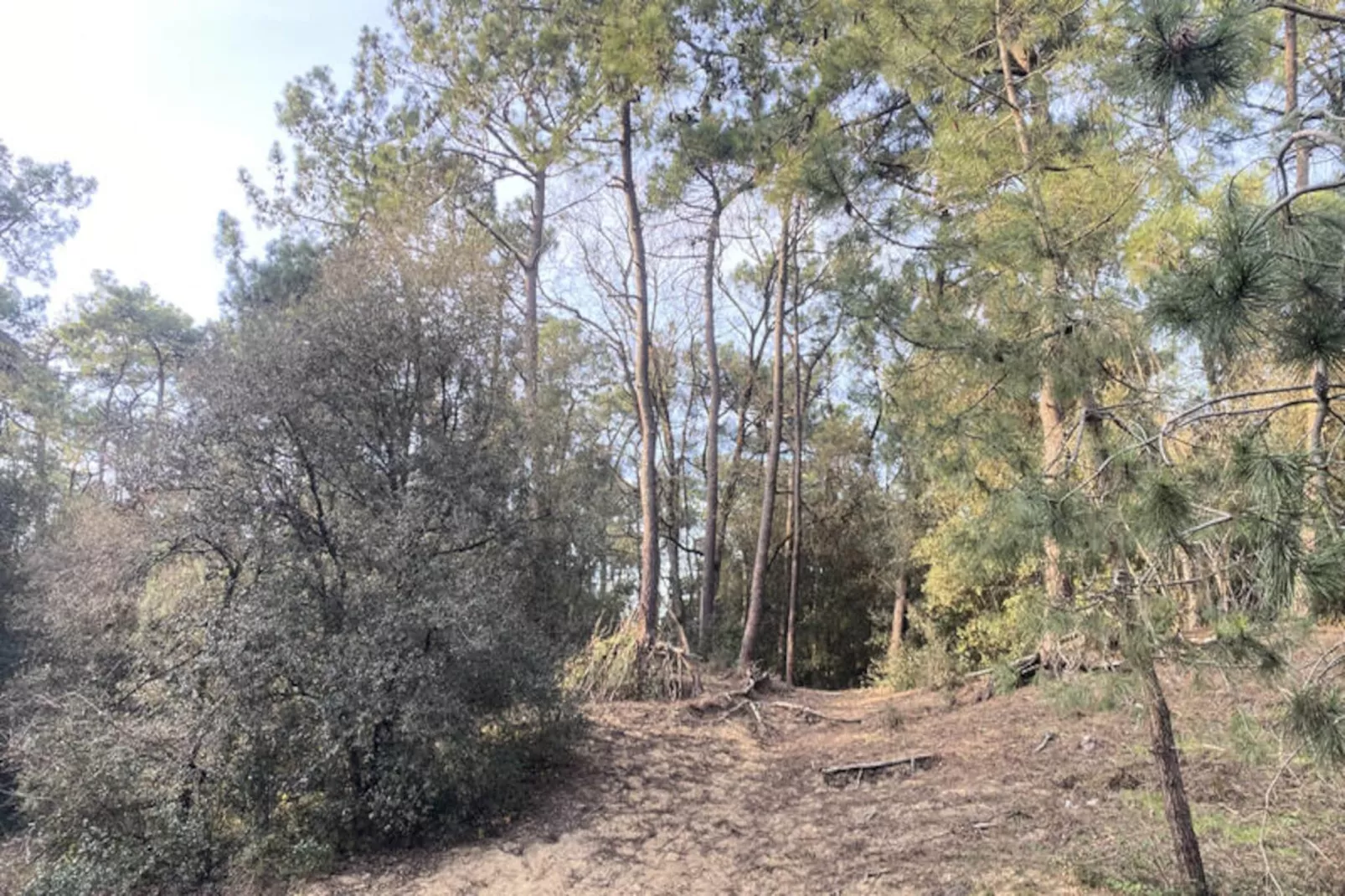 Appartements à Les Sables d'Olonne-Niet-getagd