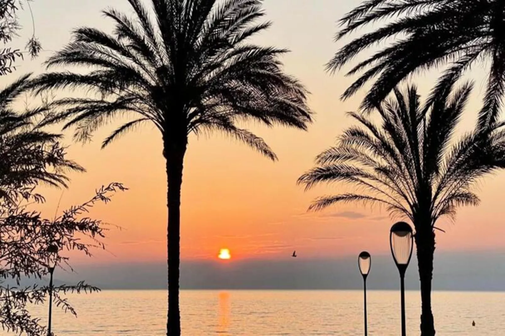 Résidence Studio Front De Mer Tout équipé Au Cœur Du Centre Ville Bd Leclerc-Niet-getagd