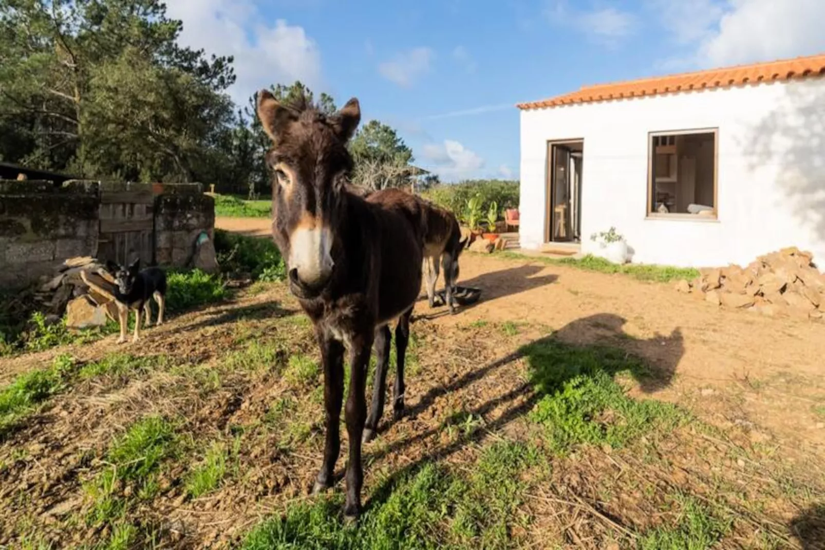 Casinha Da Paz-Niet-getagd