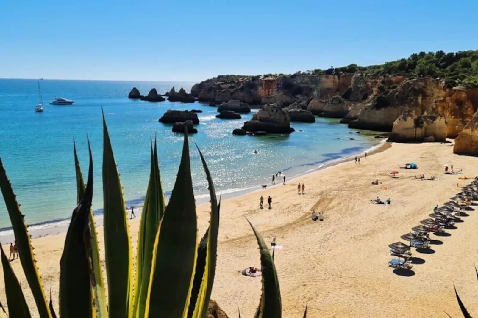 Vista Bonita-Niet-getagd