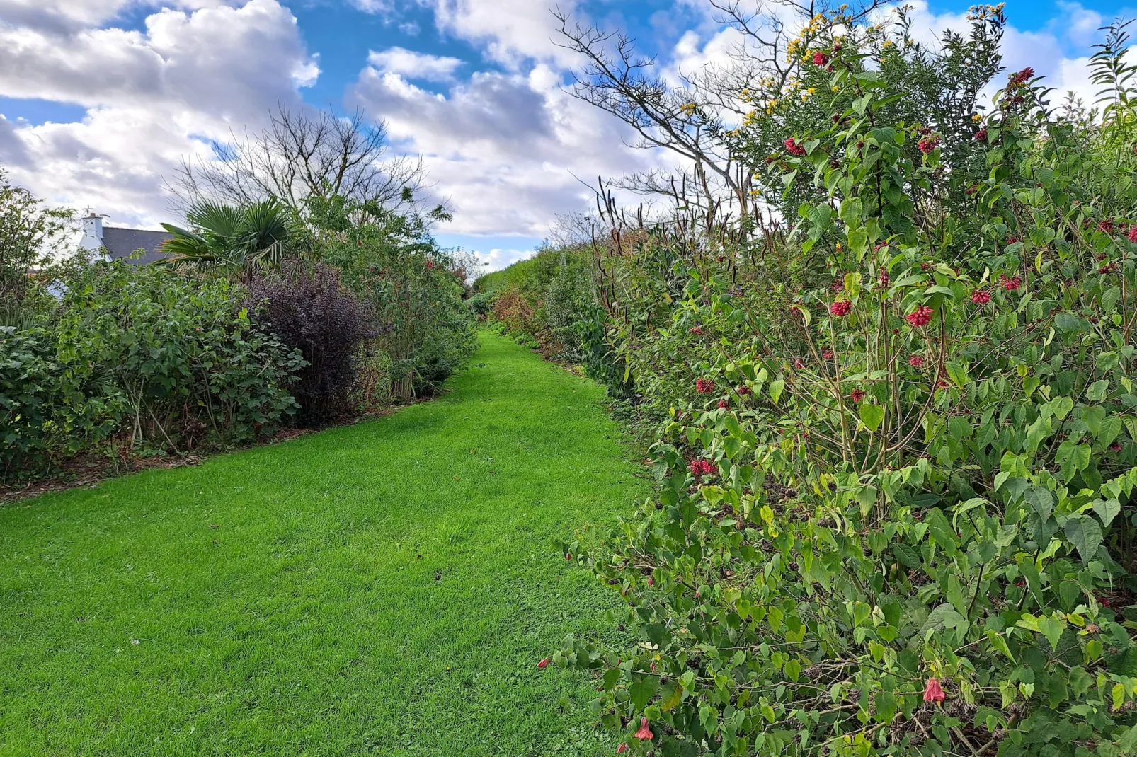 Granitsteinhaus in Guimaëc-Tuin winter