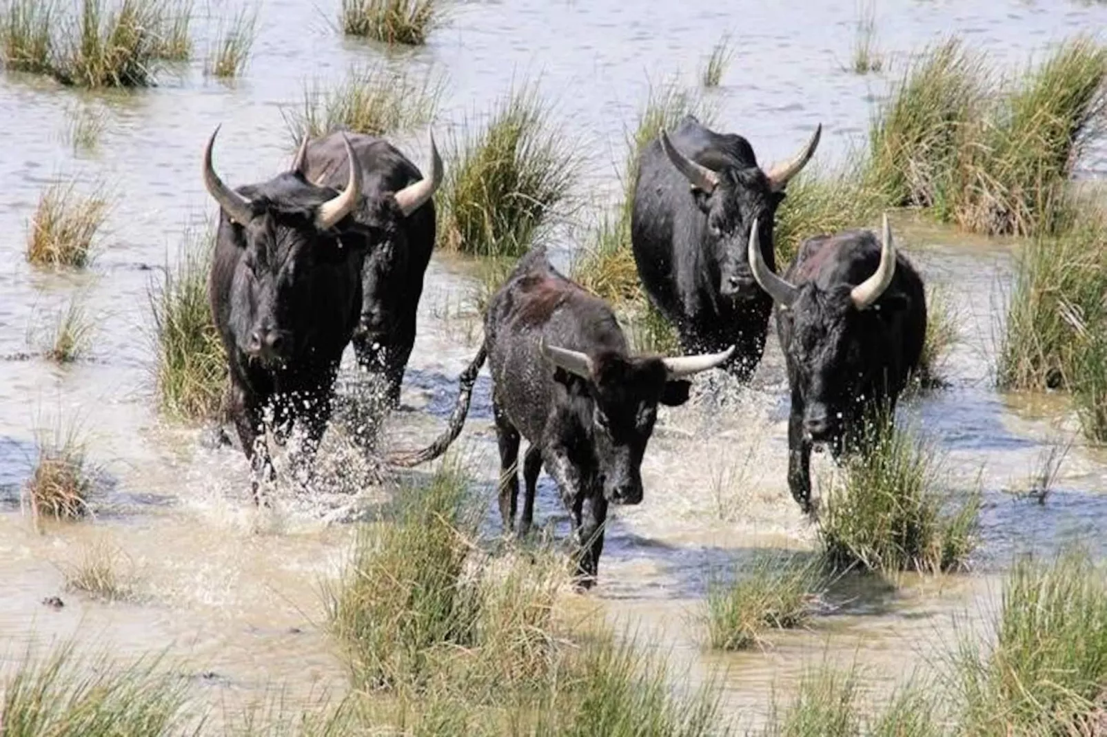 Résidence Les Jardins Du Port-Niet-getagd