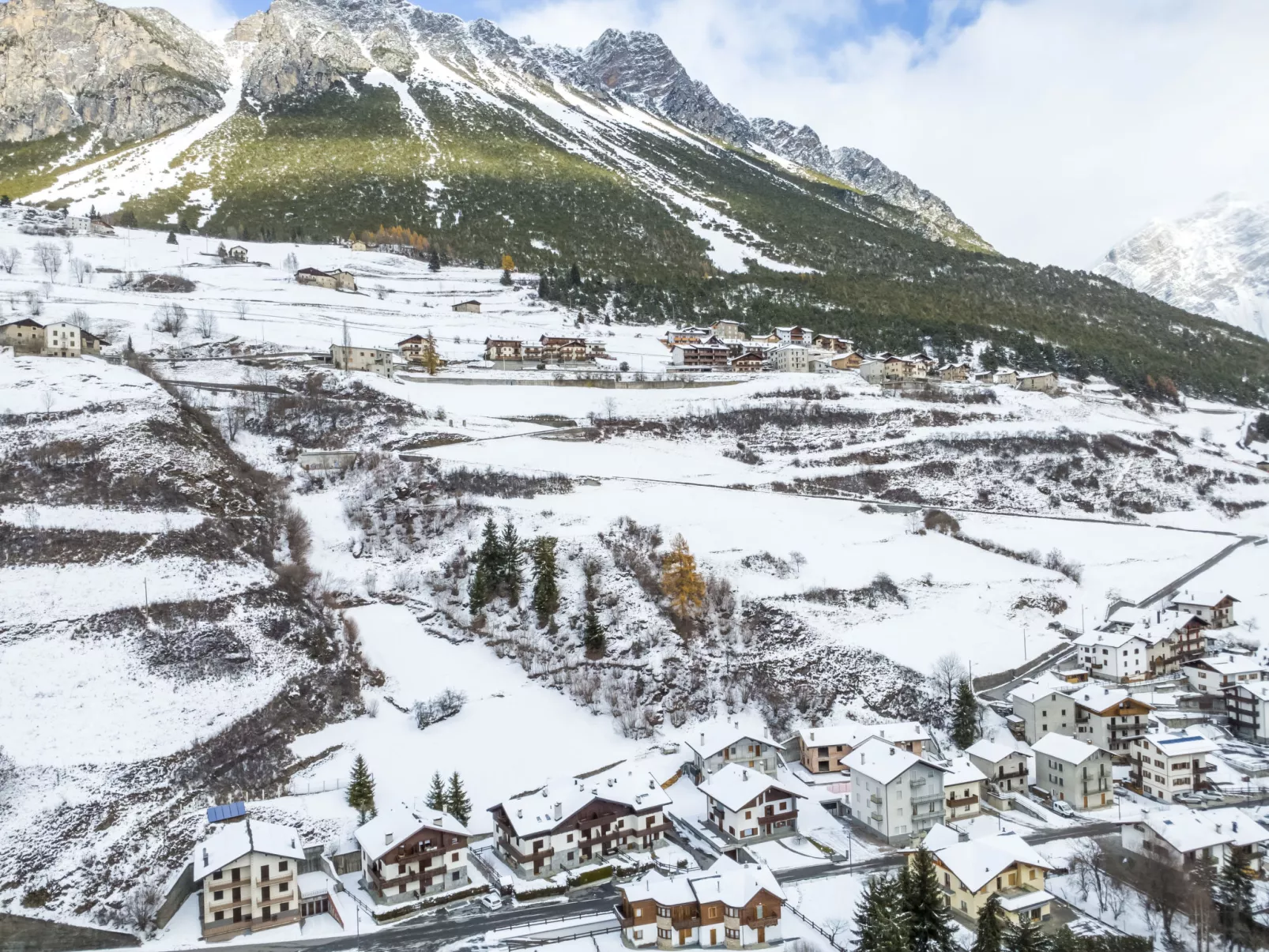 The Silent Sylva-Buiten