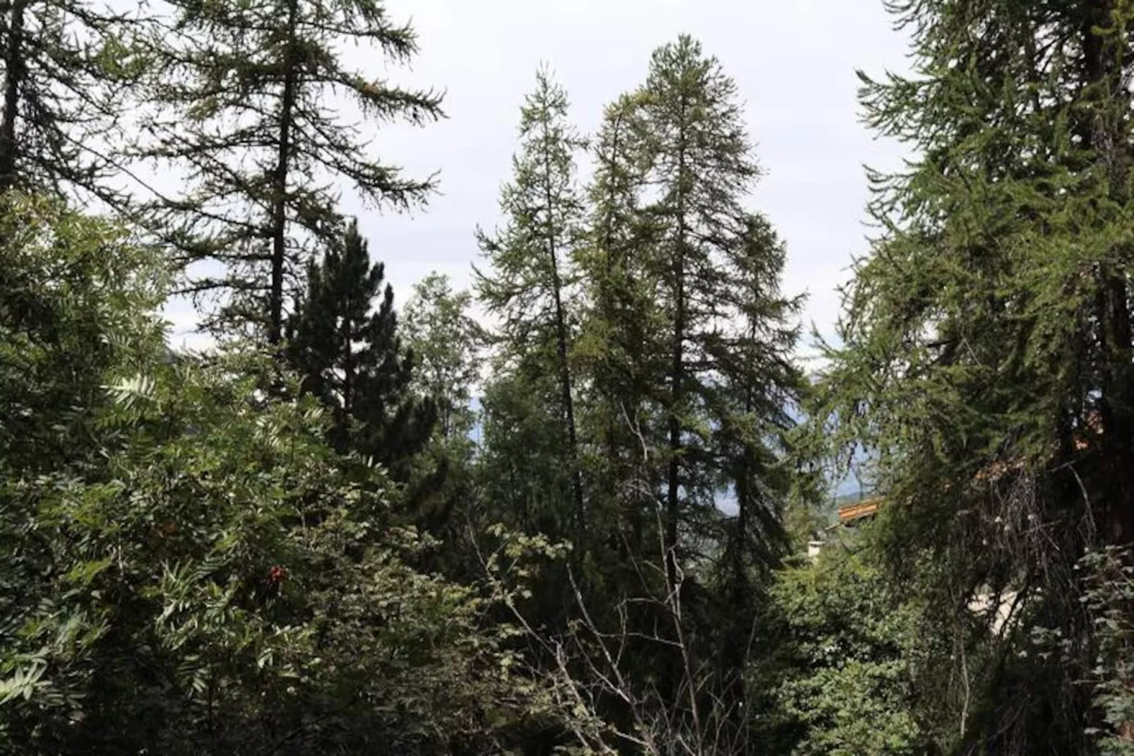 Résidence Chal. Les Chandelles-Niet-getagd