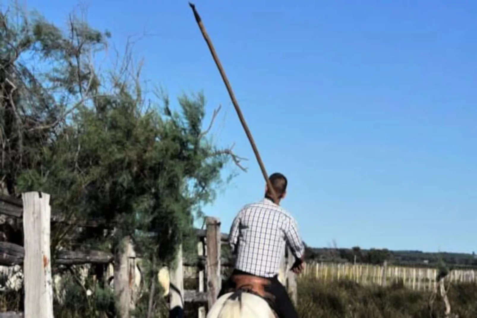 Résidence L'or&eacute;e De Camargue Studio Avec Cour-Niet-getagd