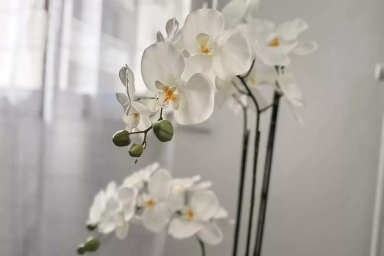 | Le Panorama 🏔️-Niet-getagd