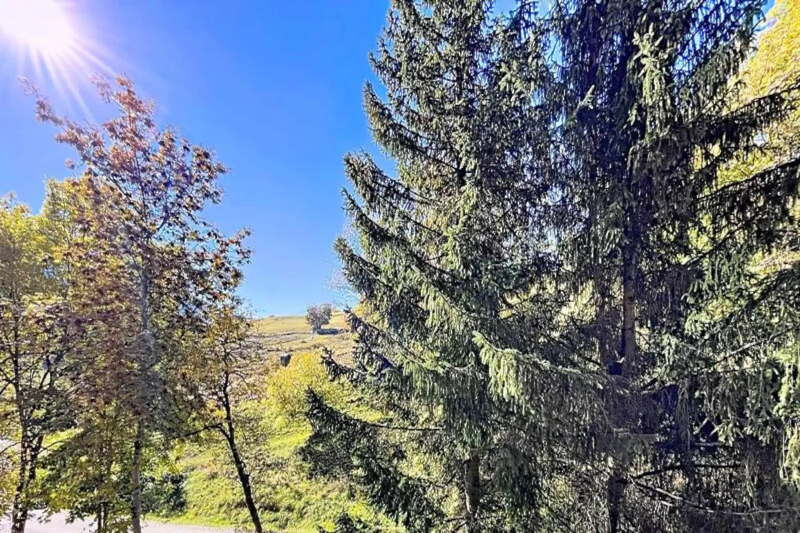 Résidence Orion-Niet-getagd