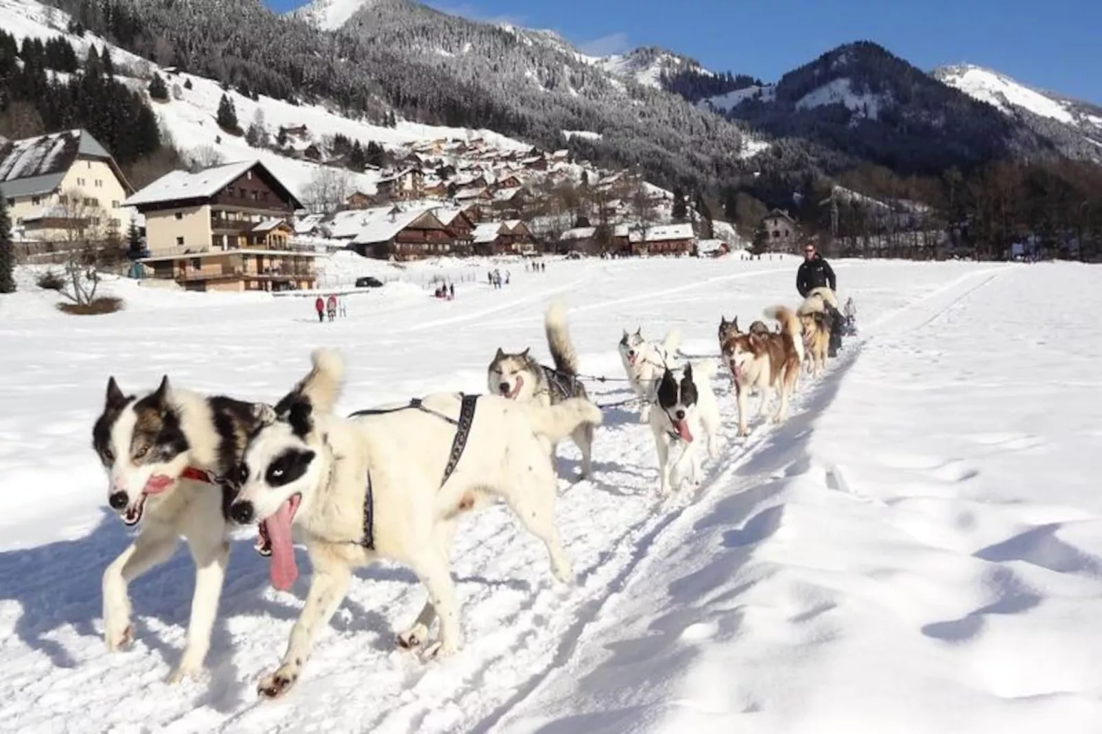 AlpChalets Portes du Soleil *****-Niet-getagd
