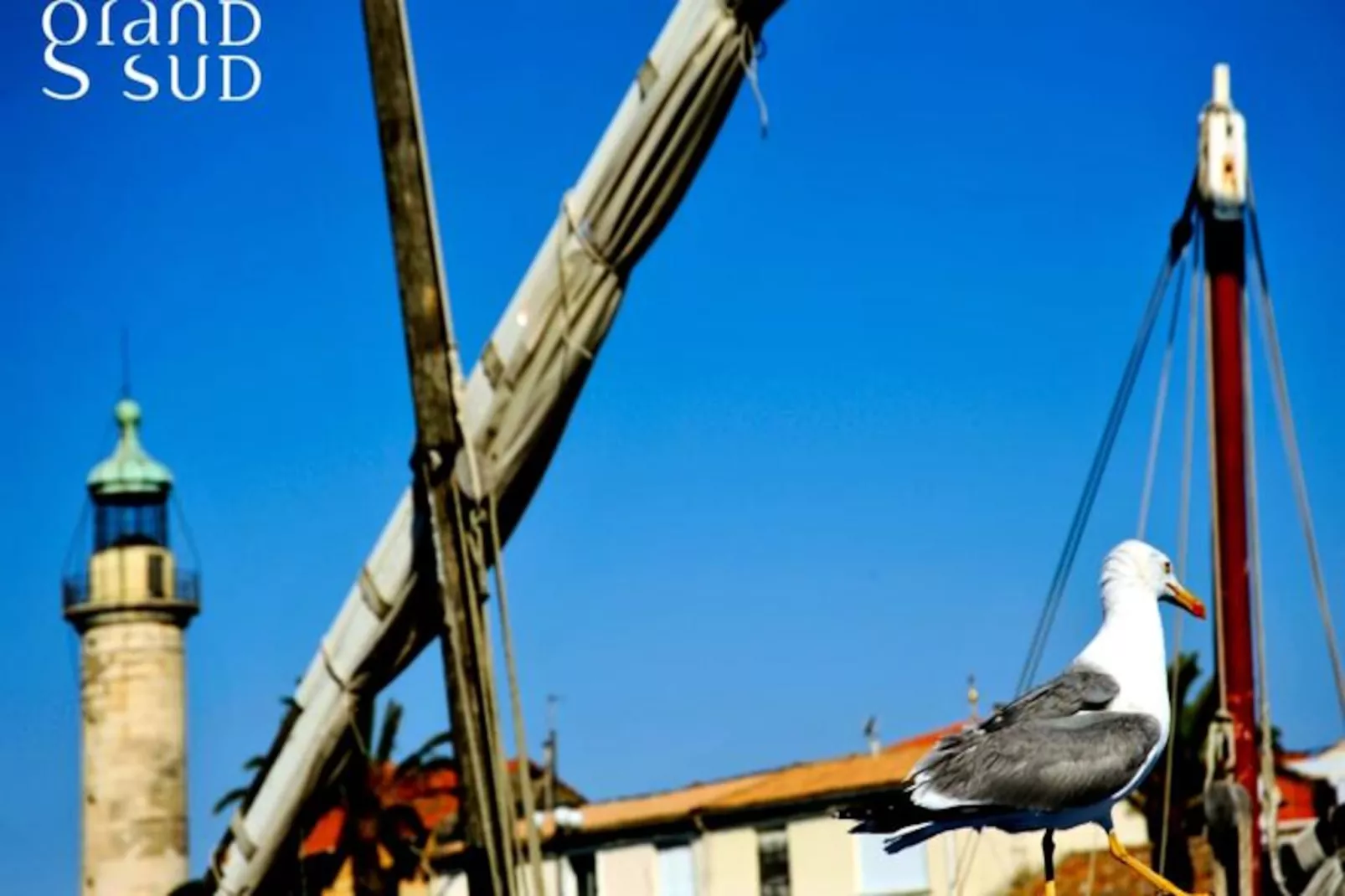 Résidence Triangle De La Baronnie Appartement 1 Chambre Proche De La Mer-Niet-getagd