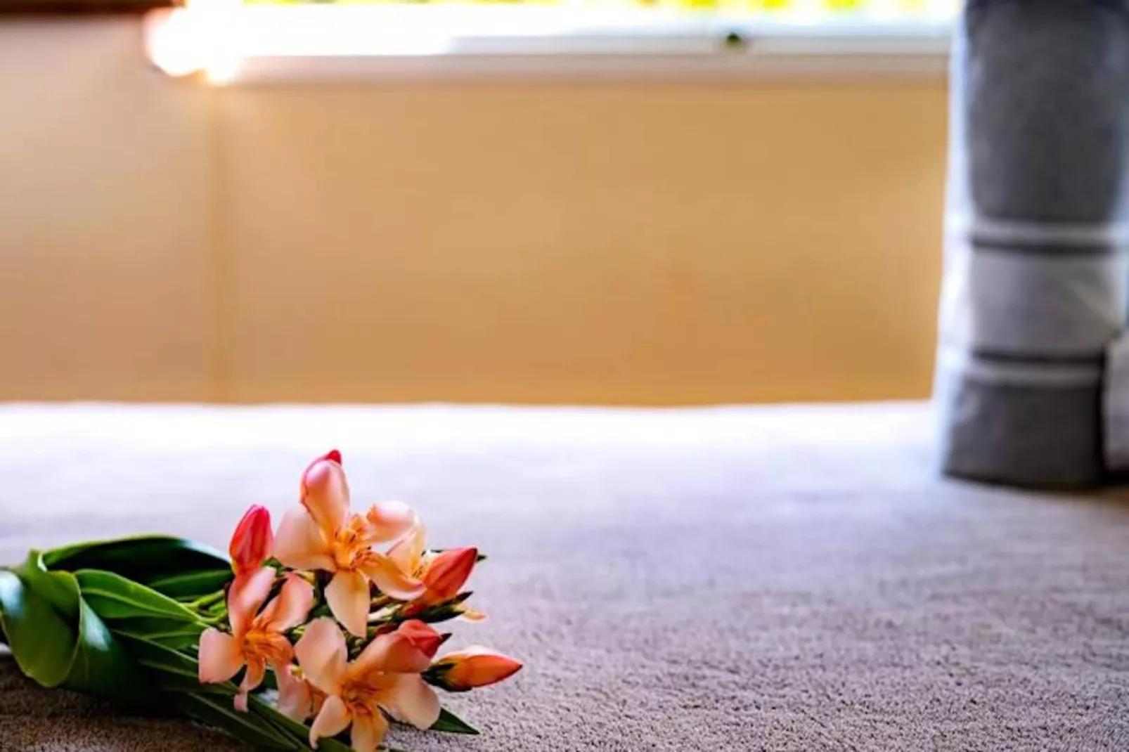 Villa Coccoloba - Niet-getagd