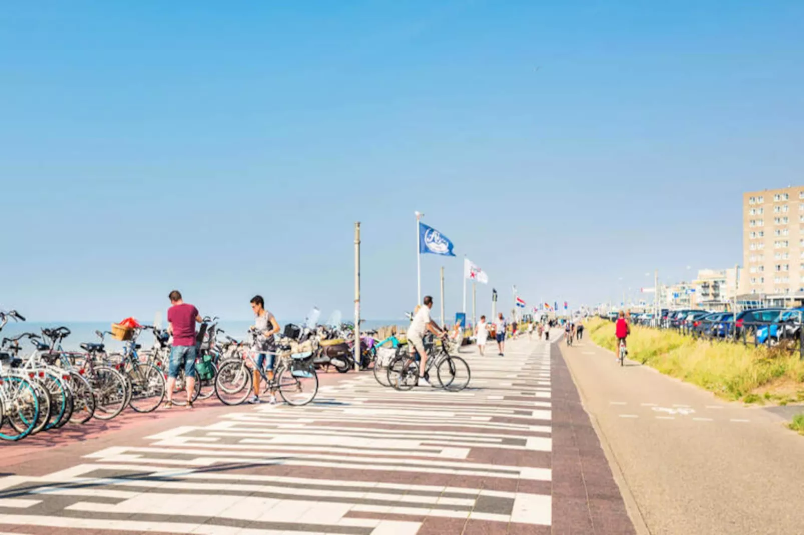 Endless Summer Beach-Niet-getagd