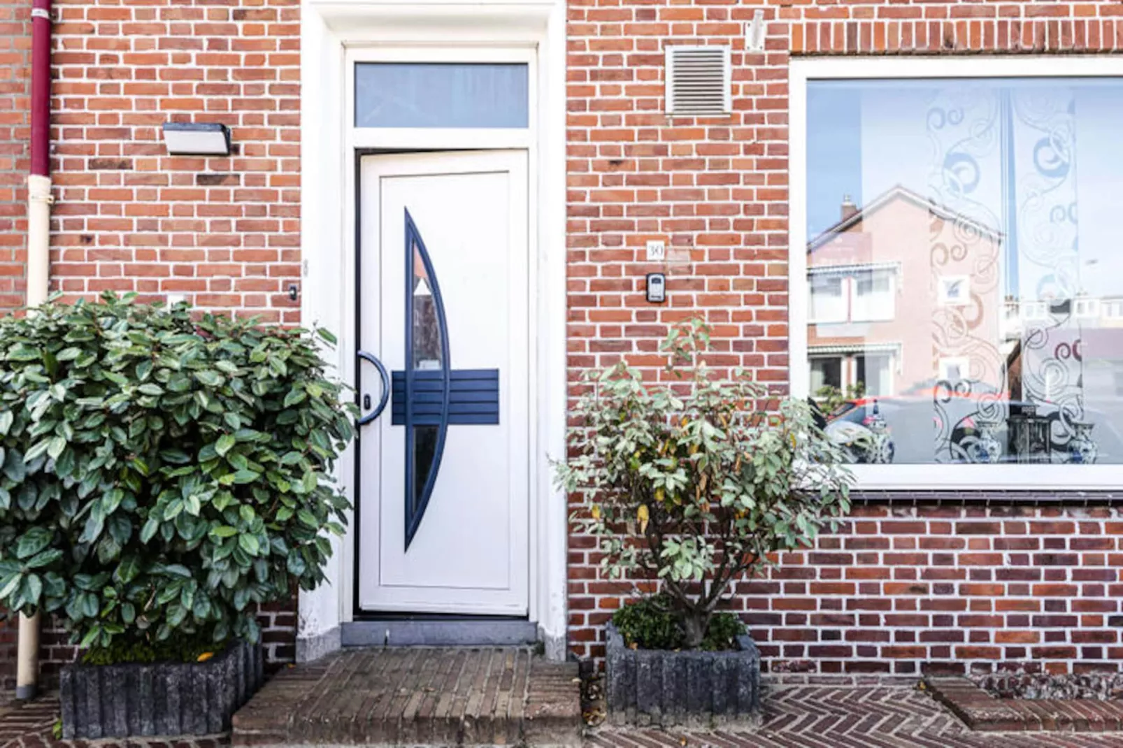 Albatros Aan Zee - Zandvoort-Niet-getagd