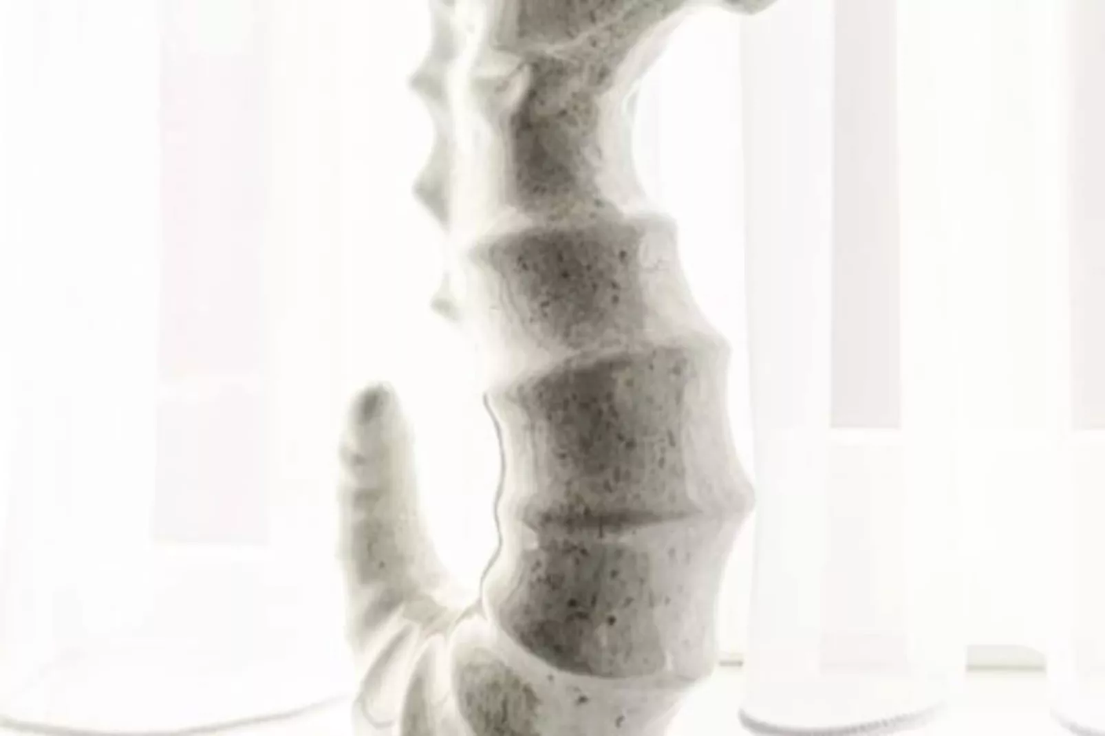 Beach And Dunes Studio-Niet-getagd