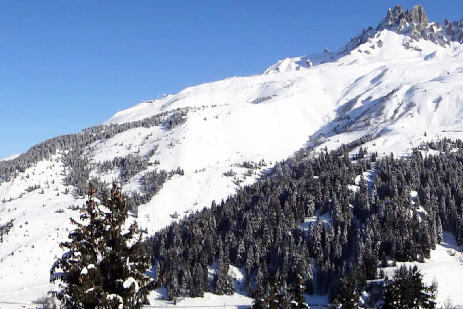 Résidence Asphodeles-Niet-getagd