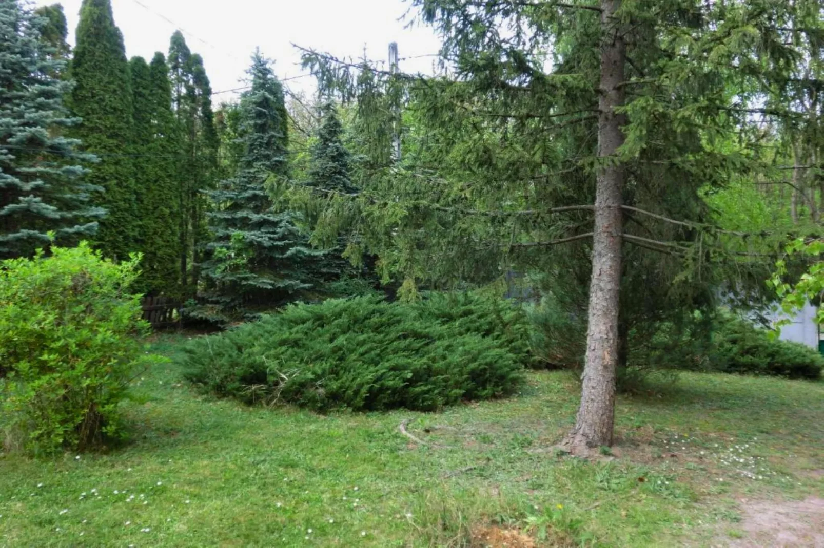 Ferienhaus Donauknie-Tuinen zomer