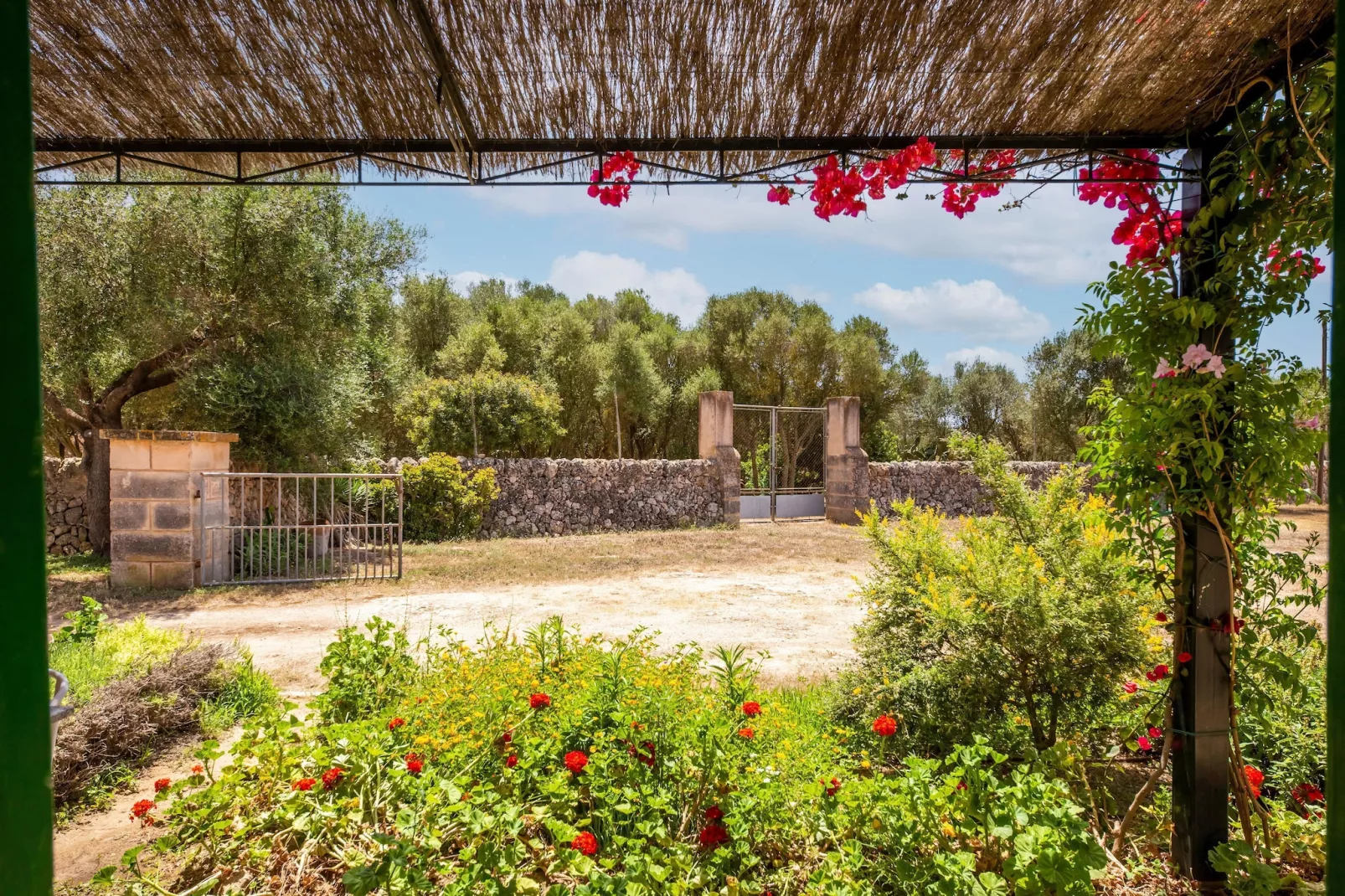 El Taller-Gebieden zomer 1km