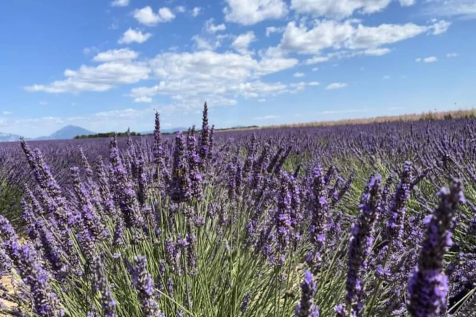04b5 : Beau Studio Dans Un Mas Proven&ccedil;al - Piscine-Niet-getagd