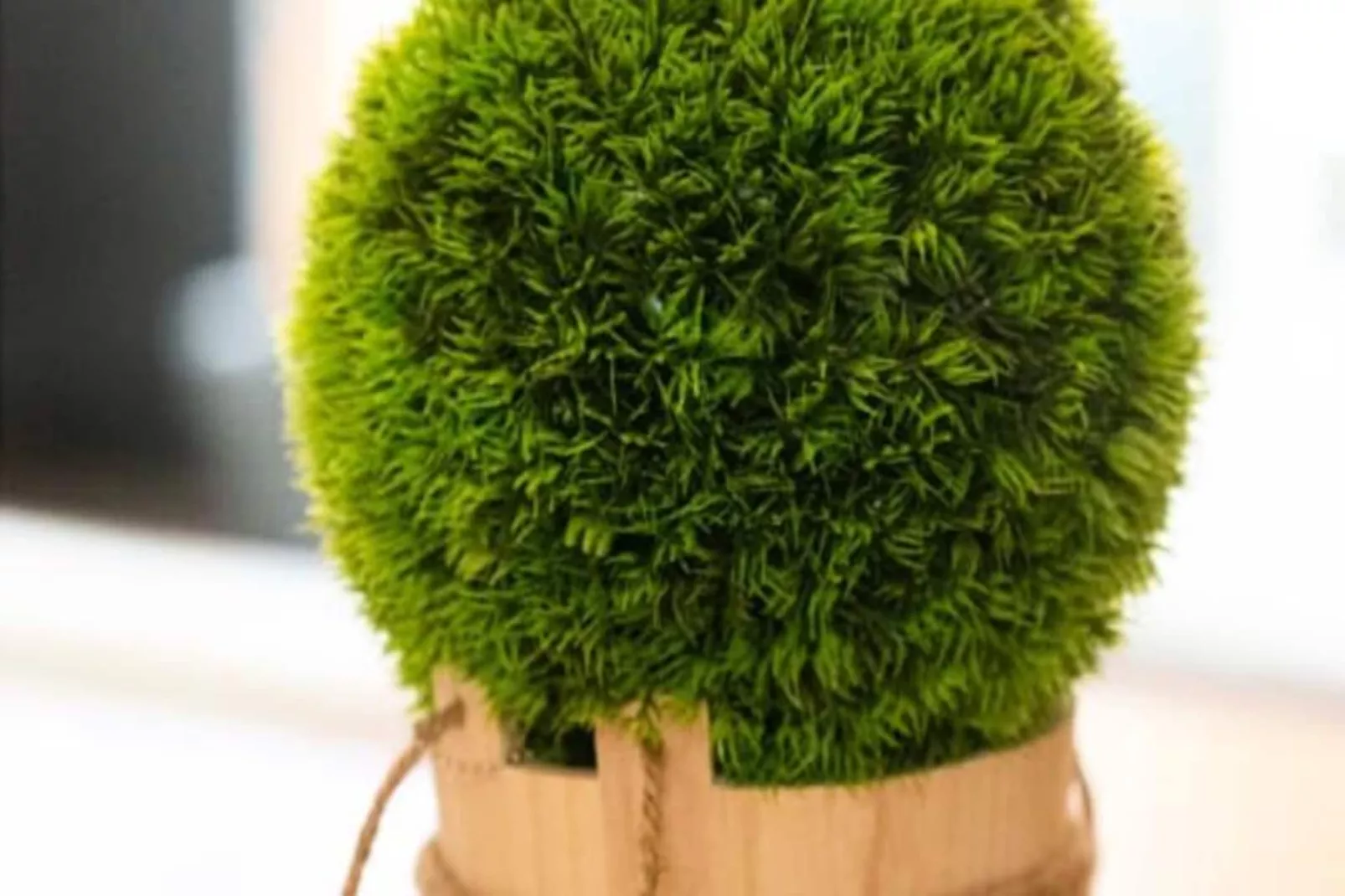 06k2 - Joli Studio Climatisé - Terrasse Vue Mer-Niet-getagd