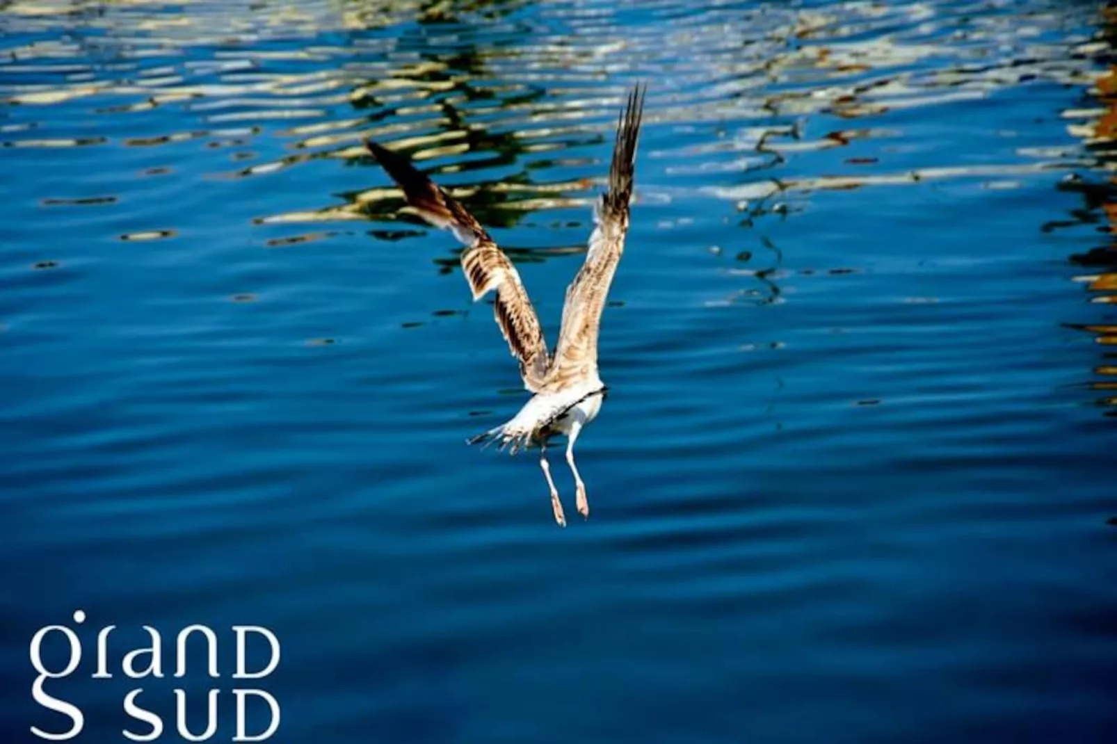 Résidence Tranquillit&eacute; Bleue 1* Appartement Vue Mer En Duplex 1 Chambre 1 Mezzanine-Niet-getagd