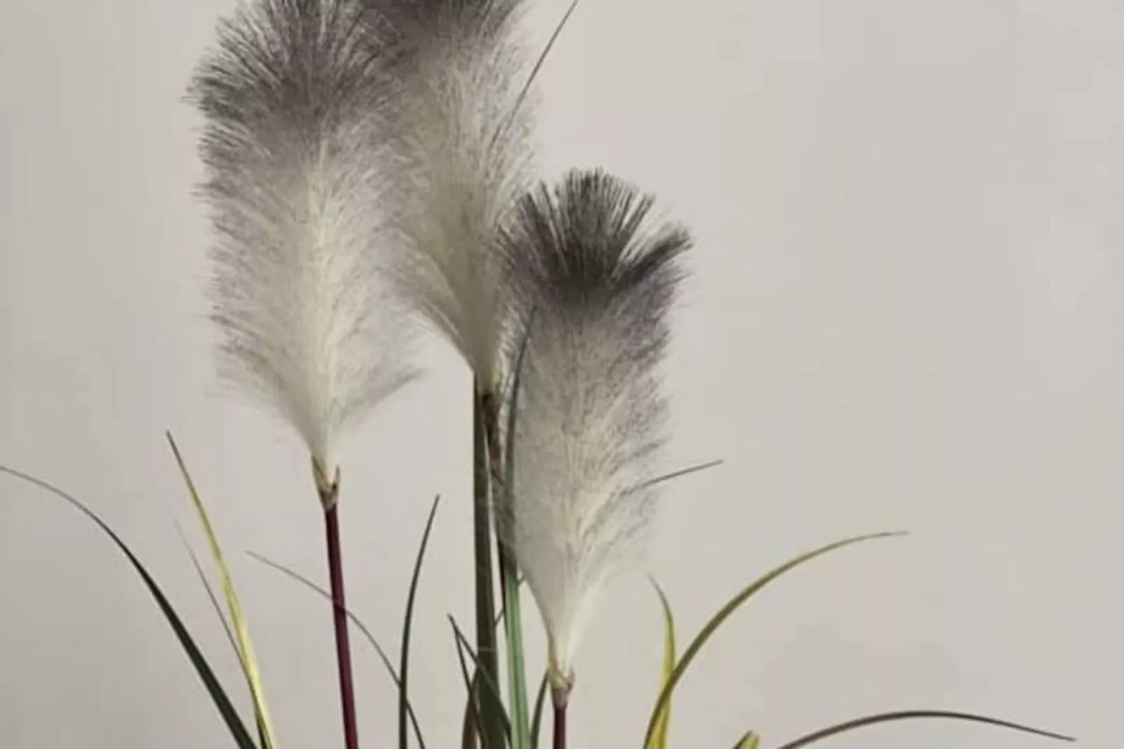 Résidence Villa Marie 2: Appartement Tout Confort Climatis&eacute; 1 Chambre Proche Plage-Niet-getagd