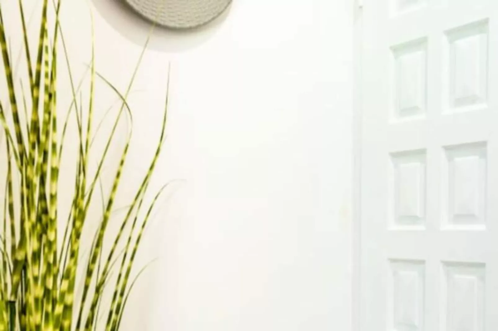 Villa Moca - Niet-getagd